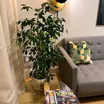 The Hillcrest, Luxury In Town