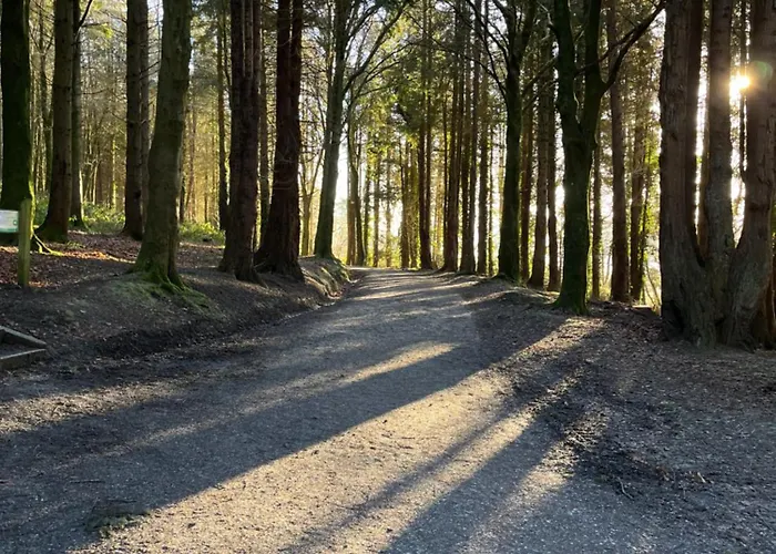 Ferienhaus The Hillcrest, Luxury In Town