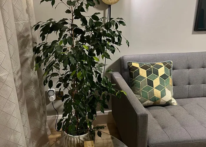 The Hillcrest, Luxury In Town